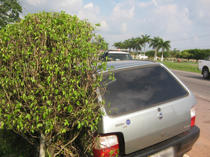 
        
            Carro capota em Marituba; veja as fotos
        
    