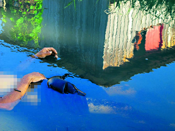 
        
            Morto no Cordeiro de farias com 21 facadas
        
    