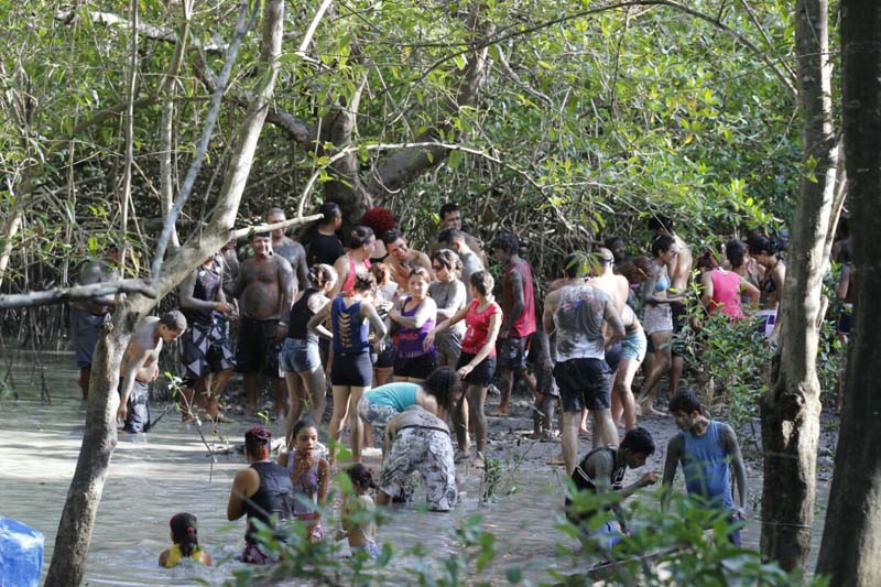 
        
            Curuçá e Terra Alta: folia e natureza se misturam 
        
    