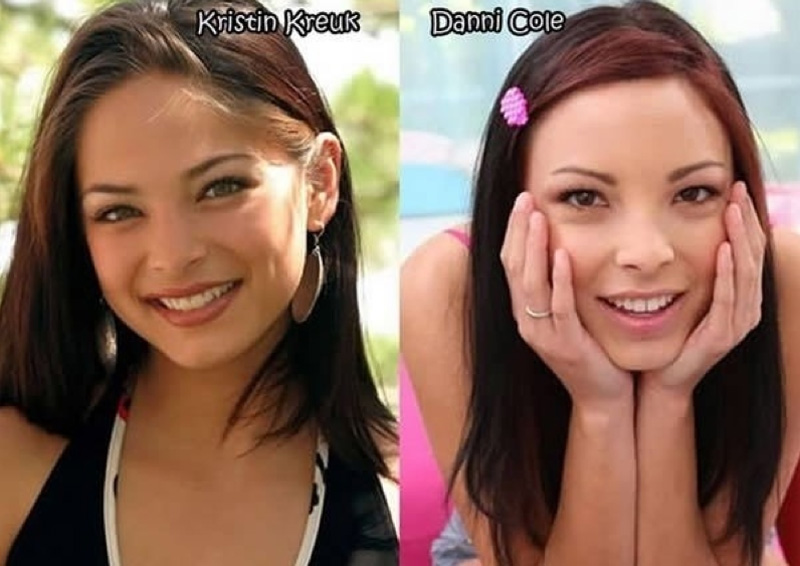 
        
        
            Veja famosas que têm sósias no mundo pornô
        
    