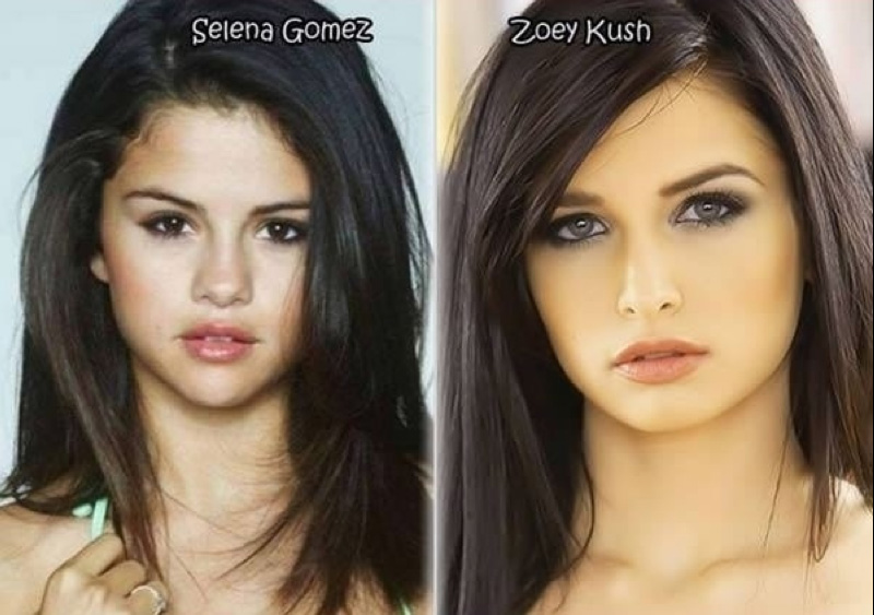 
        
        
            Veja famosas que têm sósias no mundo pornô
        
    