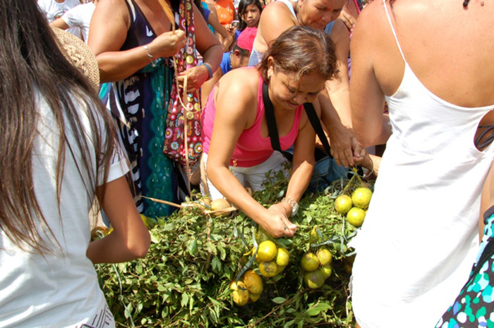 
        
            Veja imagens da tradicional festa do Sairé, em Santarém
        
    