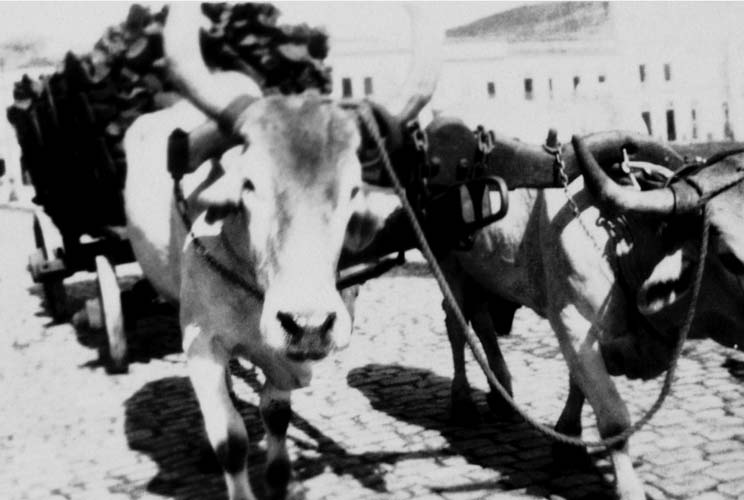 
        
            Exposição mostra cliques de Mário de Andrade
        
    