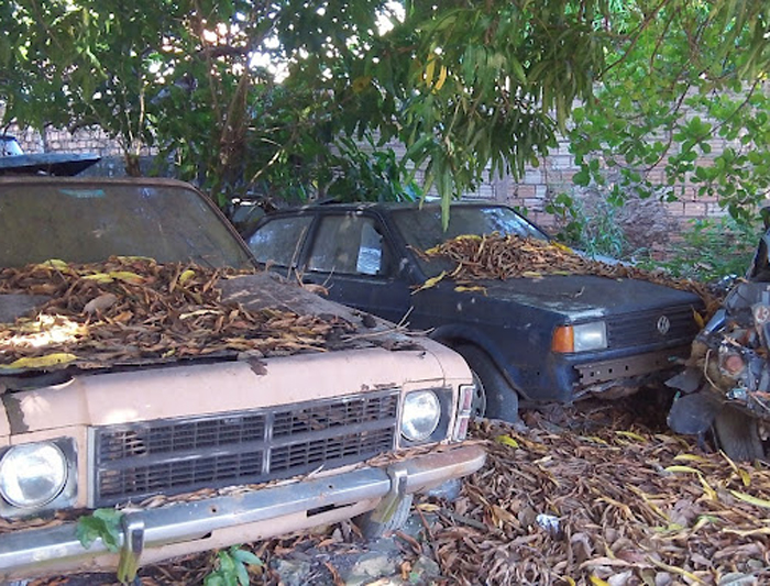 
        
            Servidores denunciam abandono em unidades do Detran
        
    
