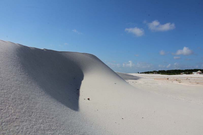 
        
            Verão 2014: Salinópolis
        
    