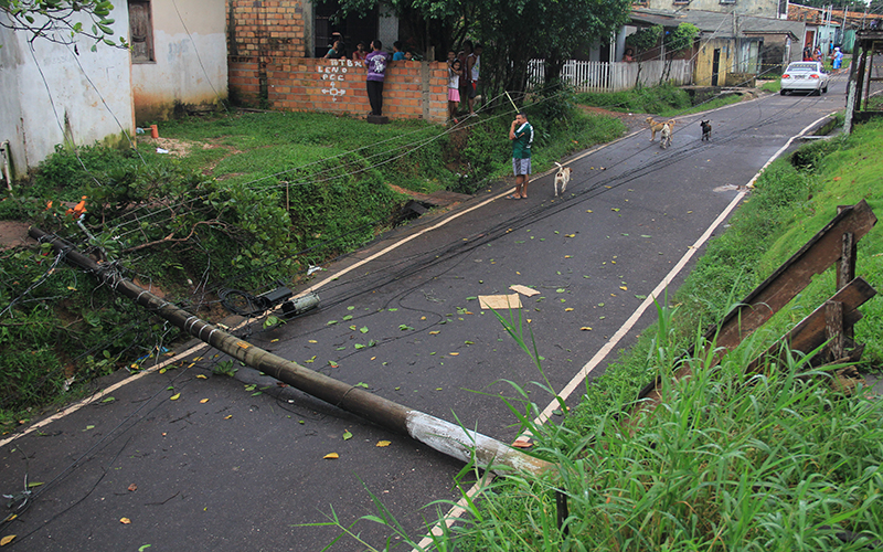 
        
        
            Ventania derruba árvores na capital paraense
        
    