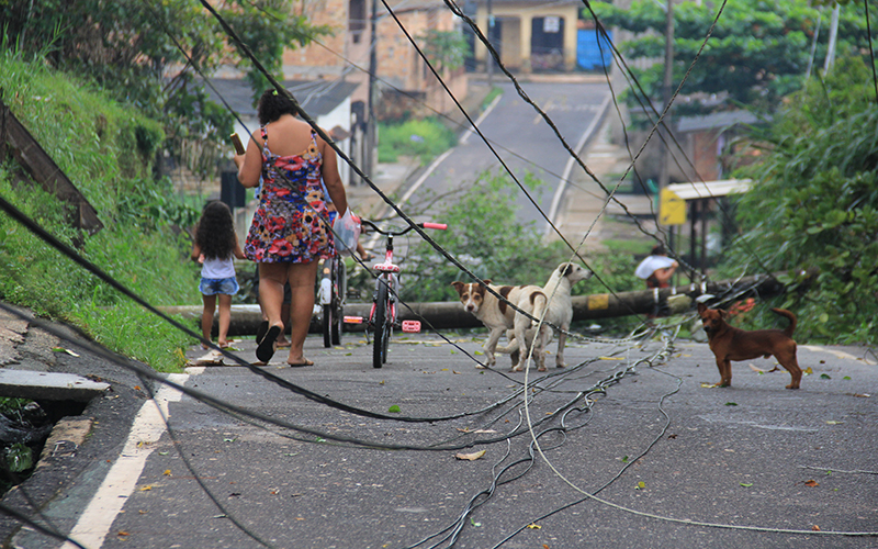 
        
        
            Ventania derruba árvores na capital paraense
        
    