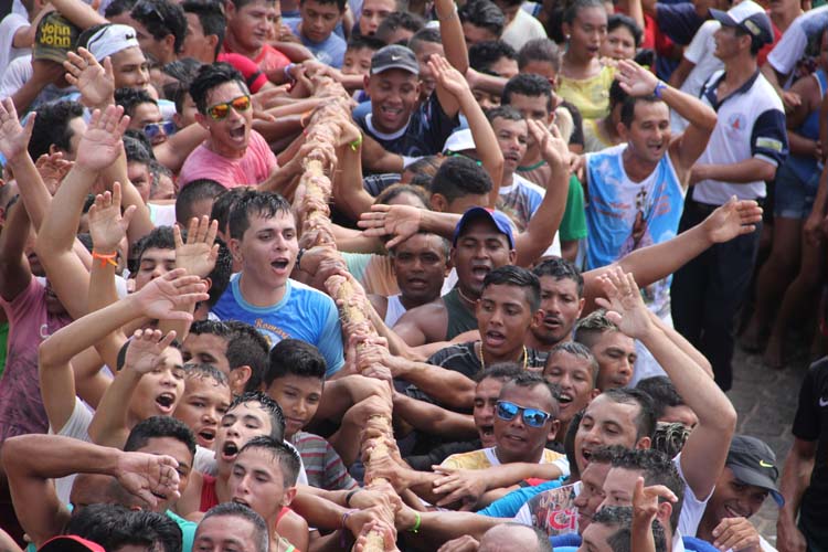 
        
            Vigia festeja Nossa Senhora de Nazaré   
        
    