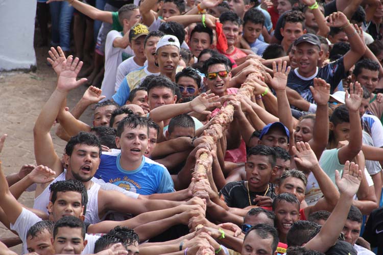 
        
            Vigia festeja Nossa Senhora de Nazaré   
        
    