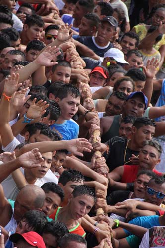 
        
            Vigia festeja Nossa Senhora de Nazaré   
        
    