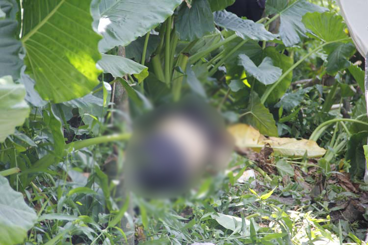 
        
            Jovem é morto a tiros em Icoaraci
        
    