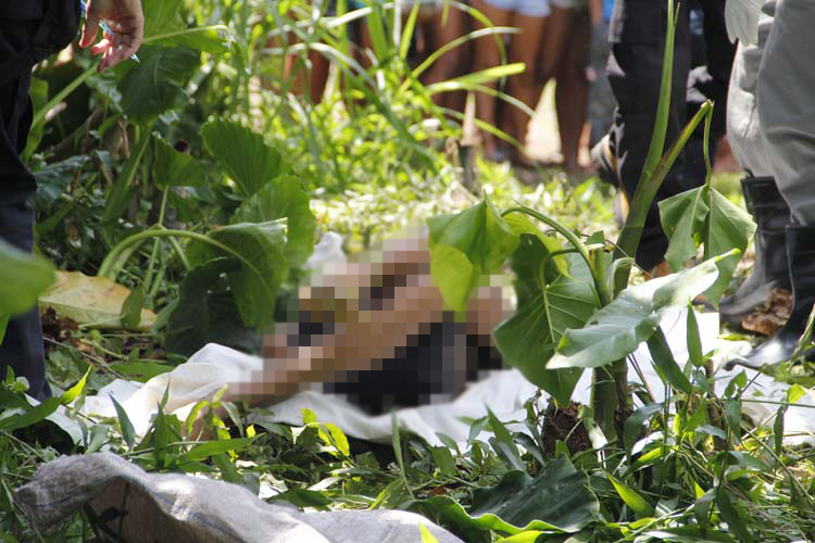 
        
            Jovem é morto a tiros em Icoaraci
        
    
