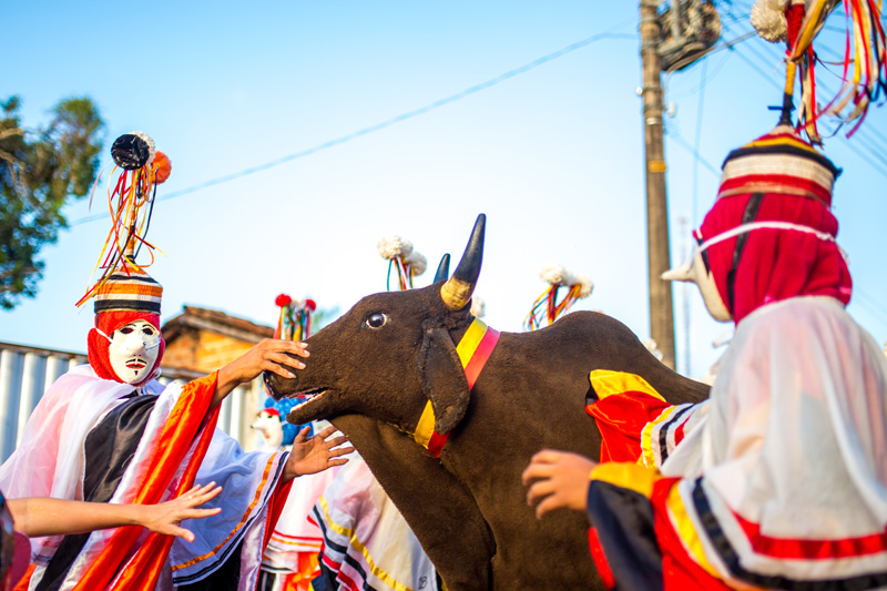 
        
            Um guia para escolher onde curtir a folia
        
    