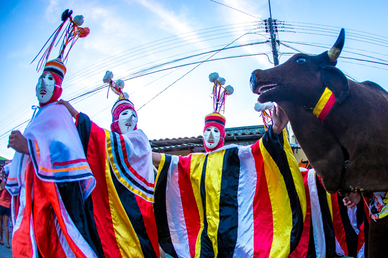 
        
            Um guia para escolher onde curtir a folia
        
    