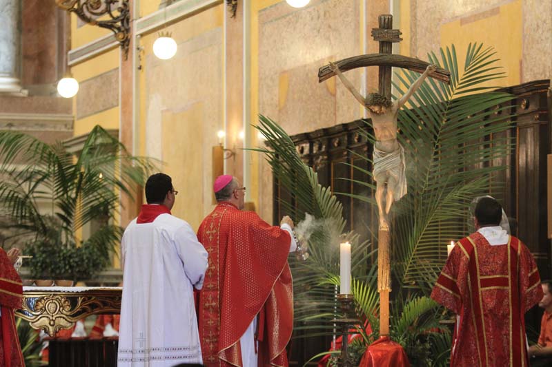 
        
            Católicos celebram o Domingo de Ramos em Belém
        
    
