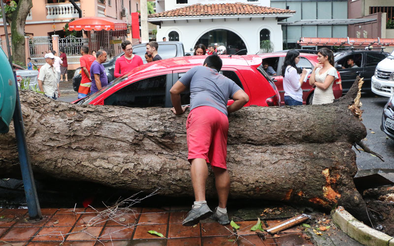 
        
            Mangueira cai e atinge 4 carros
        
    