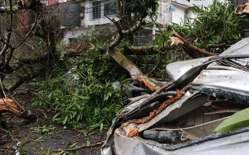 
        
            Mangueira cai e atinge 4 carros
        
    