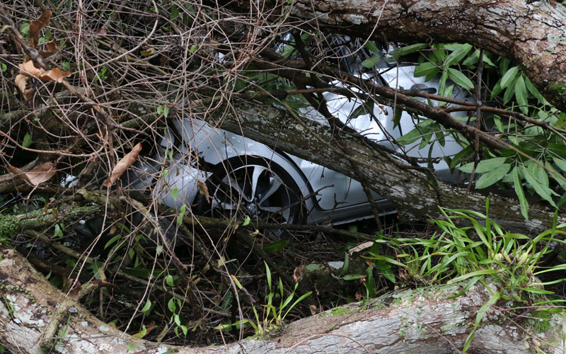 
        
            Mangueira cai e atinge 4 carros
        
    