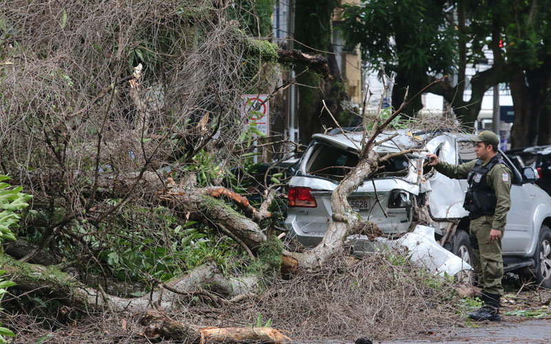 
        
            Mangueira cai e atinge 4 carros
        
    