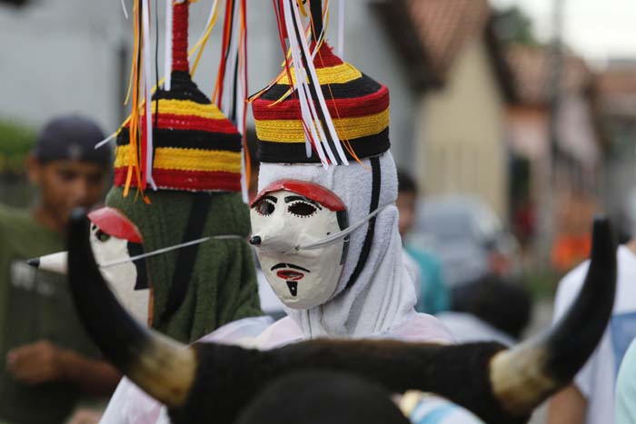
        
            Carnaodivelas fecha alas com muita festa, criatividade e fantasias
        
    