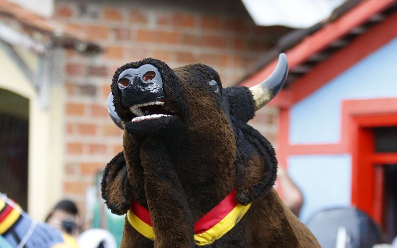 
        
            Um guia para escolher onde curtir a folia
        
    