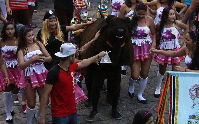
        
            Um guia para escolher onde curtir a folia
        
    