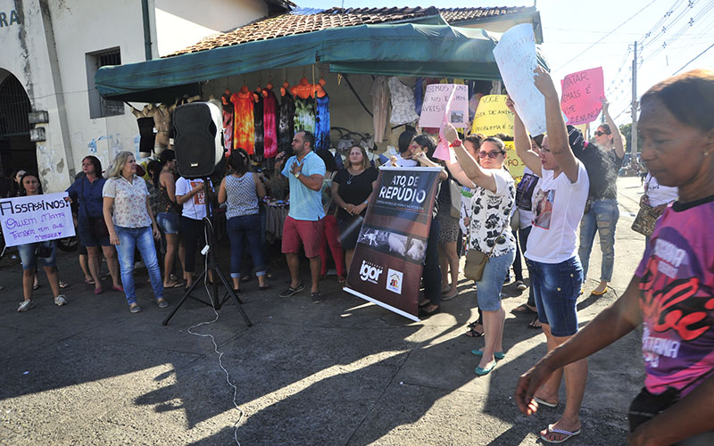 Grupos de proteção aos animais protestam após morte de gatos