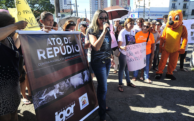 
        
            Grupos de proteção aos animais protestam após morte de gatos
        
    
