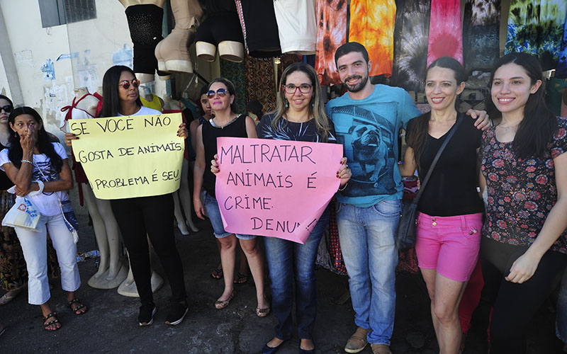 
        
            Grupos de proteção aos animais protestam após morte de gatos
        
    