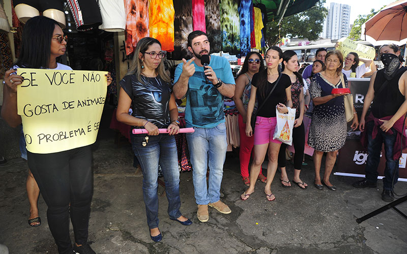 
        
            Grupos de proteção aos animais protestam após morte de gatos
        
    