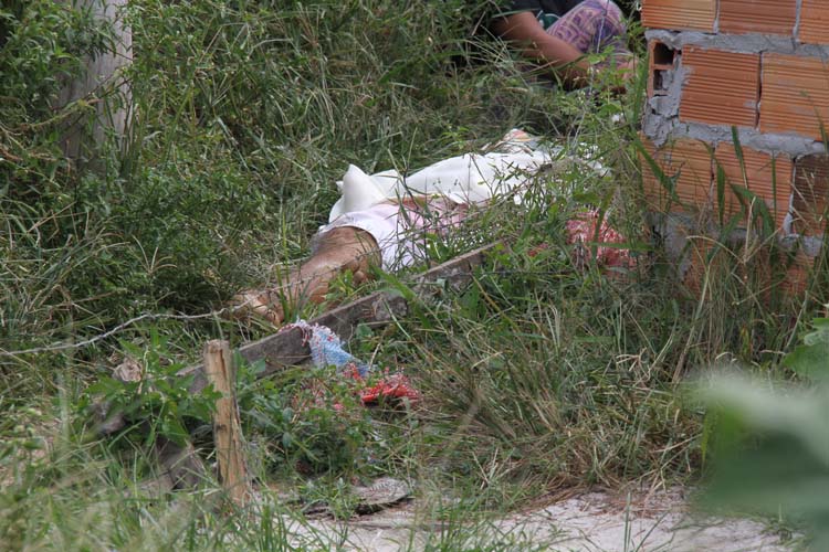 
        
            Pará: mais de 60 são assassinados em 66 horas
        
    