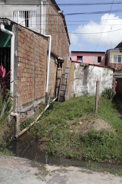
        
            Terreno vira criadouro do Aedes aegypti 
        
    