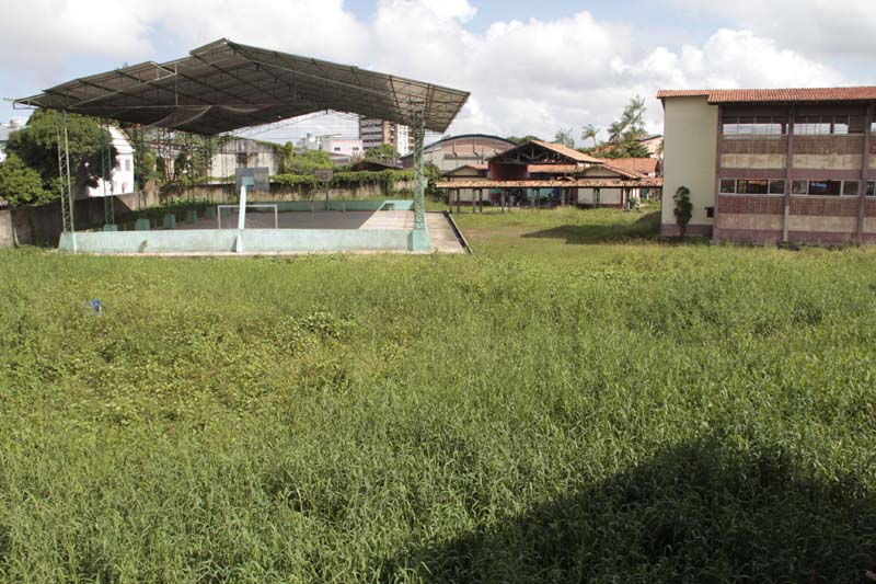 
        
            Terreno vira criadouro do Aedes aegypti 
        
    