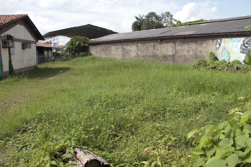 
        
            Terreno vira criadouro do Aedes aegypti 
        
    