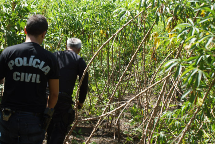 
        
            Polícia Civil divulga resultado da operação Mutuca
        
    