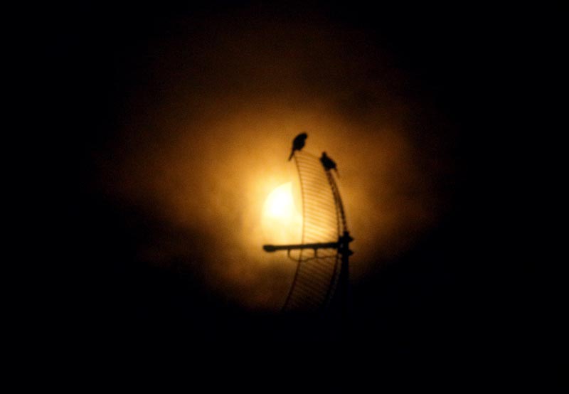 
        
            Veja imagens do eclipse feitas em Ananindeua
        
    