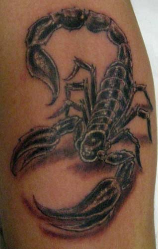 
        
            Veja significado de tatuagens usadas nas cadeias
        
    