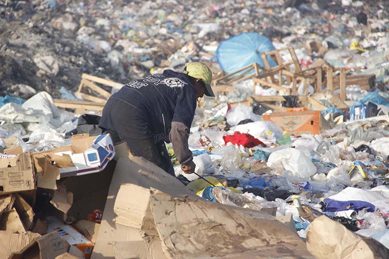 
        
        
            Famílias se arriscam trabalhando em lixão desativado
        
    