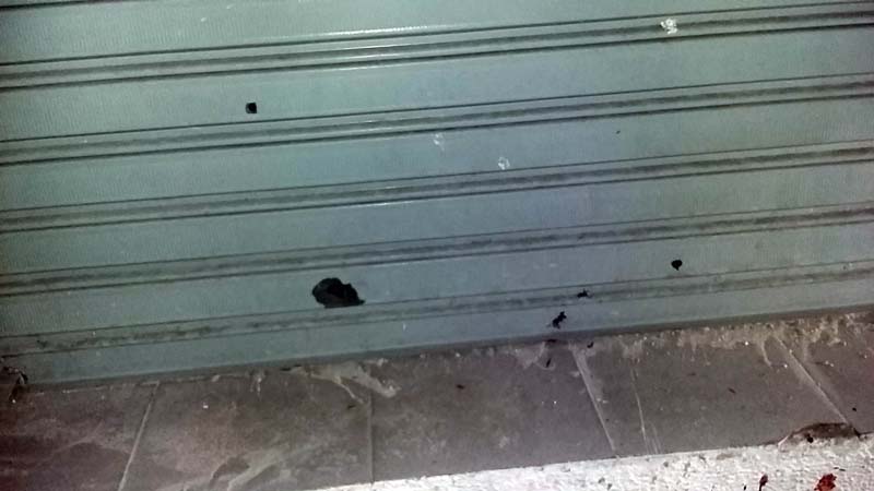 
        
            Flanelinhas são mortos em Belém
        
    