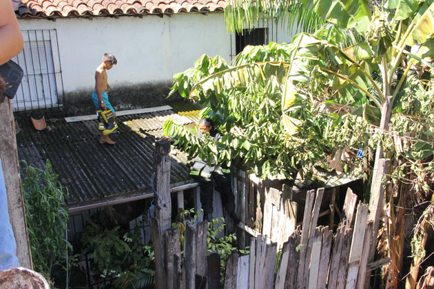 
        
            Incêndio destruiu cinco casas na Sacramenta
        
    