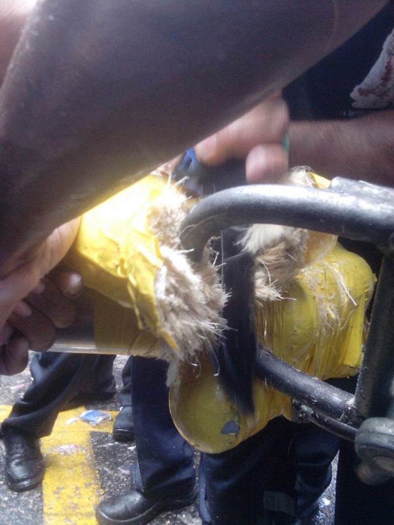 
        
            Círio de Nazaré leva multidão às ruas de Belém
        
    