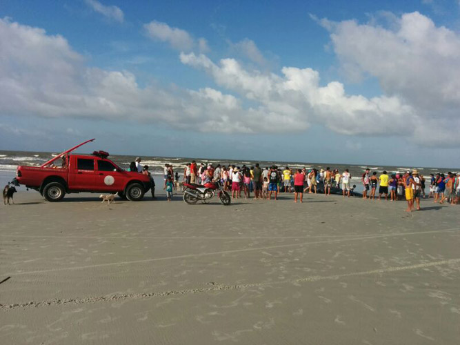 
        
            Baleia morre após encalhar na praia de Crispim
        
    