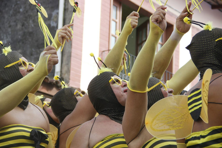 
        
            Blocos fazem a folia no Carnaval de Vigia
        
    