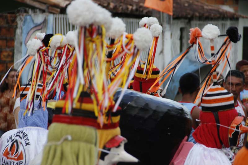 
        
            Blocos fazem a folia no Carnaval de Vigia
        
    