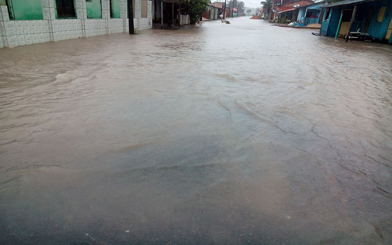 
        
        
            Moradores de Salinas encaram problemas após chuva
        
    