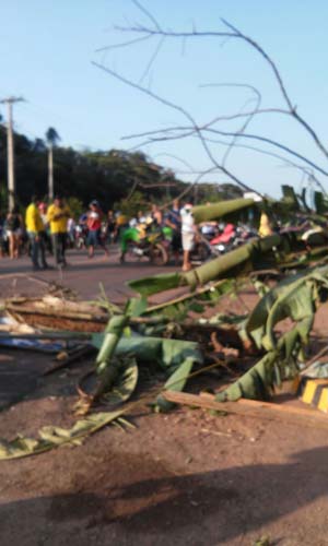 
        
            Moradores interditam via e pedem remoção de animais mortos
        
    