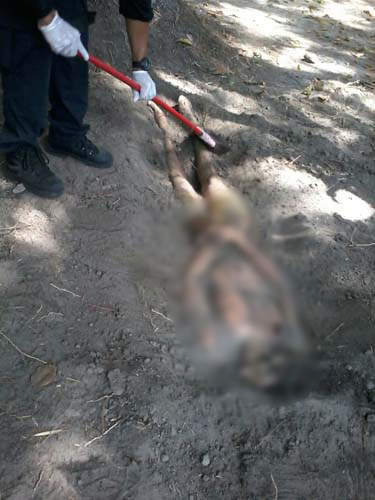 
        
            Homem é morto a facadas e enterrado no quintal
        
    