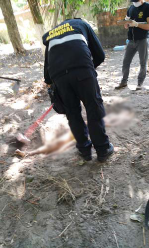 
        
            Homem é morto a facadas e enterrado no quintal
        
    