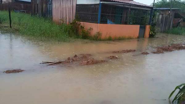 
        
            Tucuruí vive calamidade após fortes chuvas
        
    