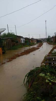 
        
            Tucuruí vive calamidade após fortes chuvas
        
    